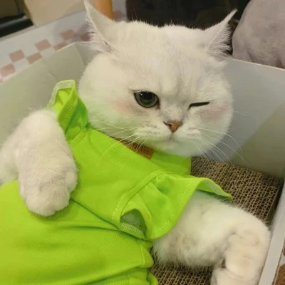 用戶